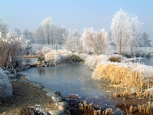 EPDM Teich im Winter