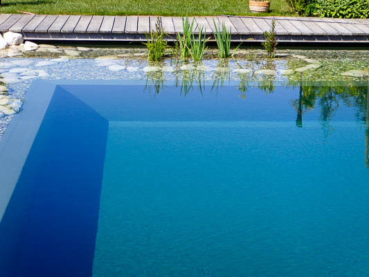 Teichfolie, PVC Teichfolie, SIKA Teichfolie, Schwimmbadfolie, Schwimmteichfolie